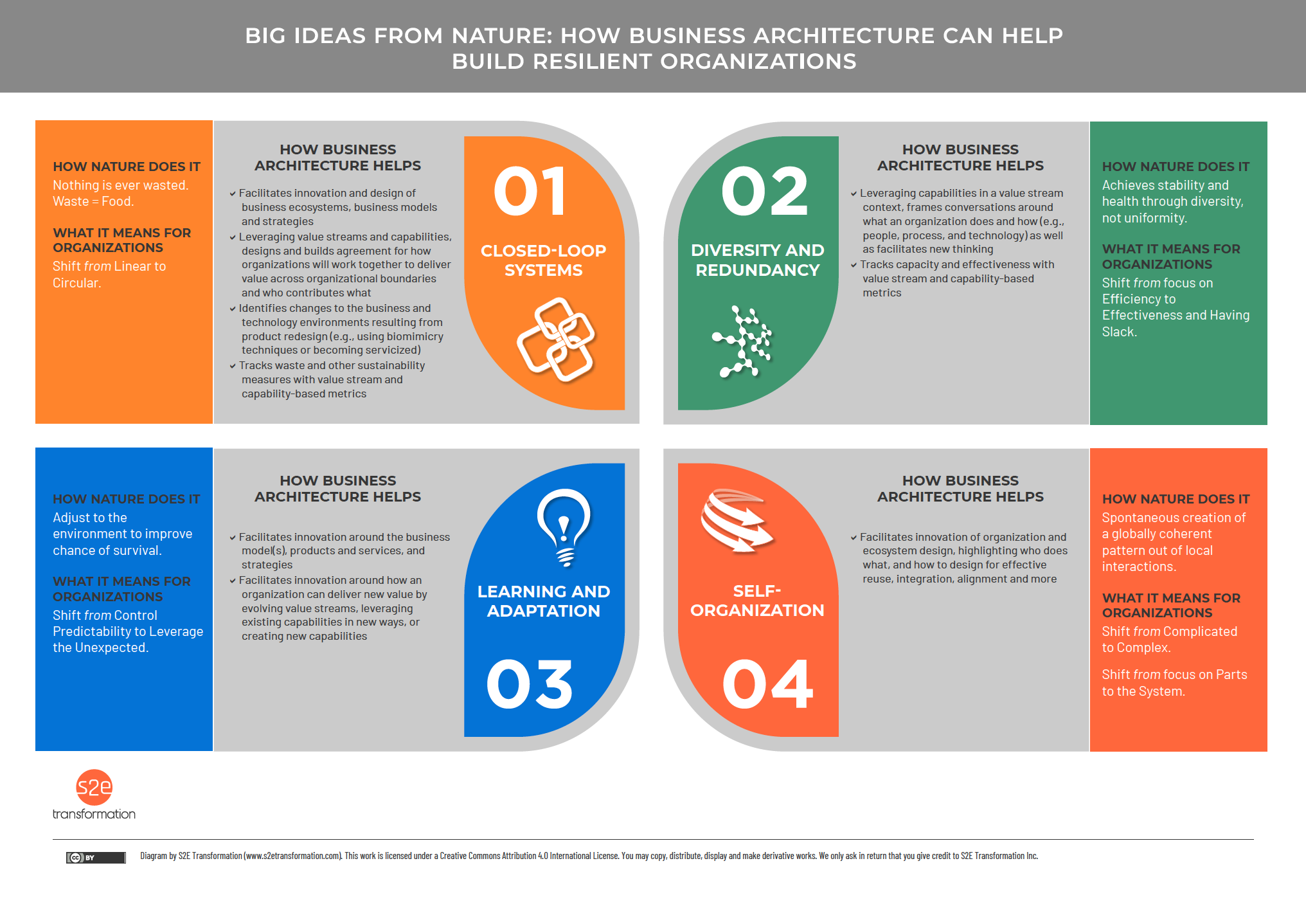 diagram showing relationship between nature and how business architecture helps build resilient organizations